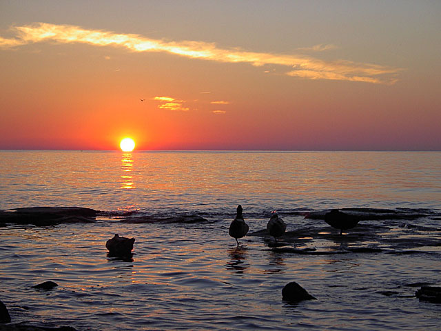 Lake Ontario Sunset with Ducks