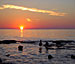 Sunset on Lake Ontario with ducks